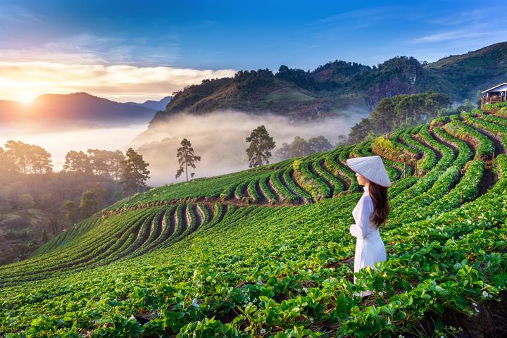 Từ Phương Oanh diện set đồ 50 đến chiến lược content: Hotspot Matrix chia sẻ