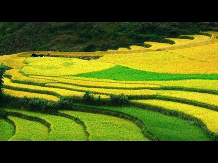 Hotspot Matrix: Biến Sao nam Thiên Long Bát Bộ tụt thành cơ hội marketing đột phá