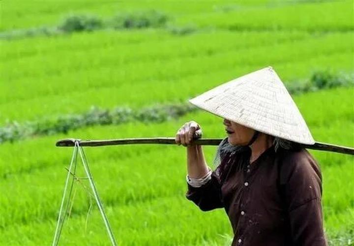 Xu hướng Soi 2 app du lịch đang hot: Hotspot Matrix tiết lộ bí quyết video viral