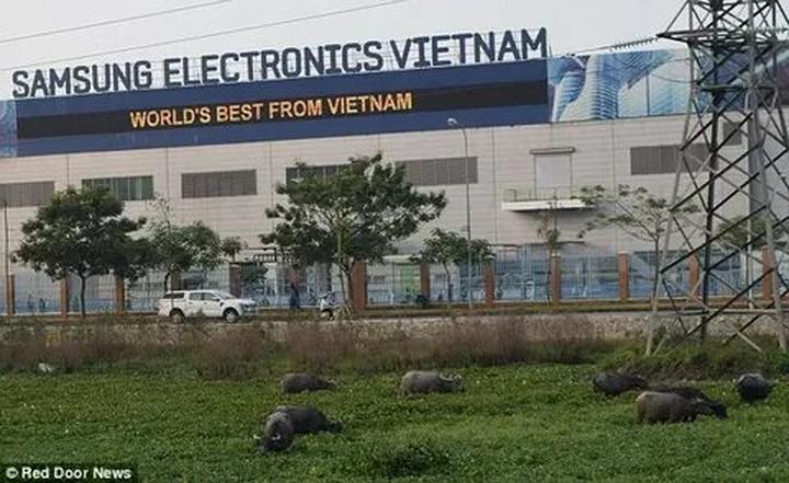 Từ Vụ bắt cóc rúng động nước Mỹ: đến chiến lược content: Hotspot Matrix chia sẻ