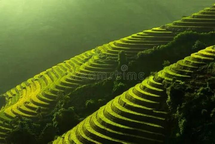 Xu hướng 3 kiểu giày
